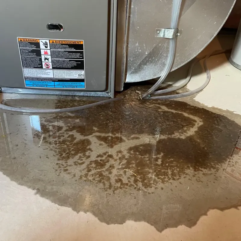 Appliance Leak Cleanup in Punxsutawney, PA